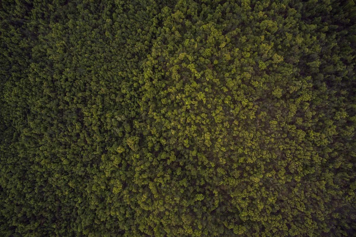 Nihil id aspernatur et modi.