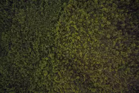 Nihil id aspernatur et modi.