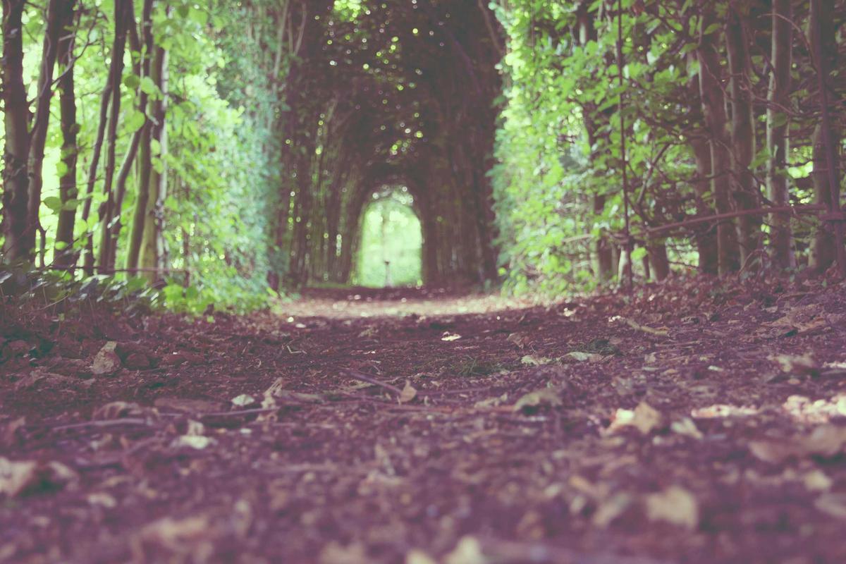 Omnis iure consequuntur nostrum qui.